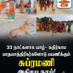 மற்றுமொரு ராஜபக்ச கைது!
