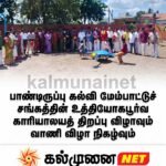 நாவிதன்வெளியில் யானைகளின் அட்டகாசம் அதிகரிப்பு- மூன்று வீடுகளின் மதில்கள் உடைத்து சேதம் – மக்கள் அச்சம்