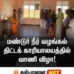 ஆலையடிவேம்பில் கட்டாக்காலி நாய்களின் தொல்லை அதிகரிப்பு; கட்டுப்படுத்தப் பொதுமக்கள் கோரிக்கை!