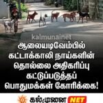 கல்முனை வலயக்கல்விப் பணிமனையின் வாணி விழா!