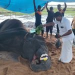 பட்டிருப்பு மகா வித்தியாலய தேசிய பாடசாலை மாணவர்கள் சிங்கள மொழிப் போட்டியில் வரலாற்றுச் சாதனை